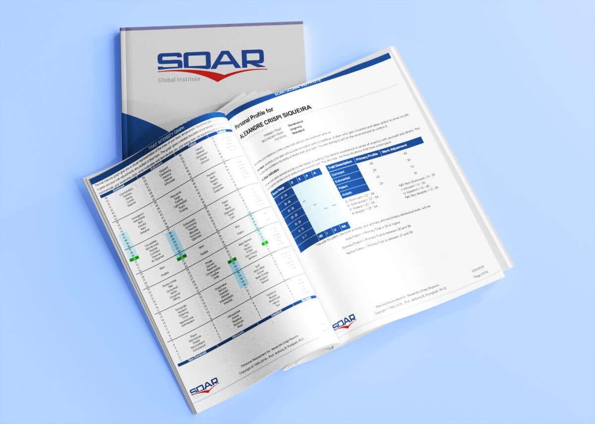 Individual Profile Assessment - SOAR Global Institute